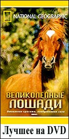 ������ �� ������� DVD � ������� �� National Geographic