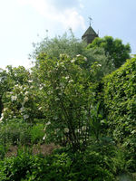 ���� � ����� ������: Sissingherst, ����� 6.����